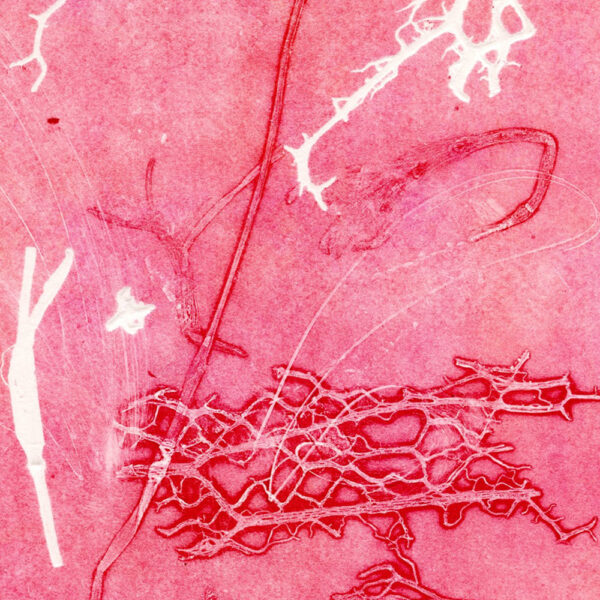 HOMAGE TO NATURE I (sold) - Image 3