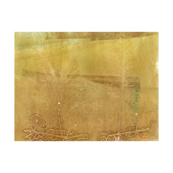 HOMAGE TO NATURE V (unframed)