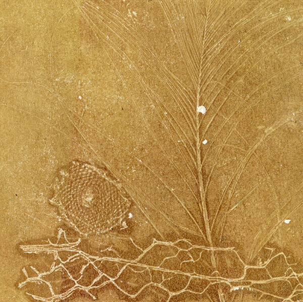 HOMAGE TO NATURE V (unframed) - Image 3