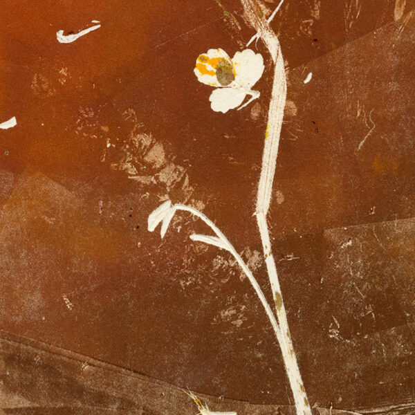 HOMAGE TO NATURE X (unframed) - Image 2