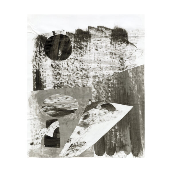 ABSTRACT NATURE IN BLACK AND WHITE I (unframed)