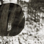 ABSTRACT NATURE IN BLACK AND WHITE I (unframed) - Image 2
