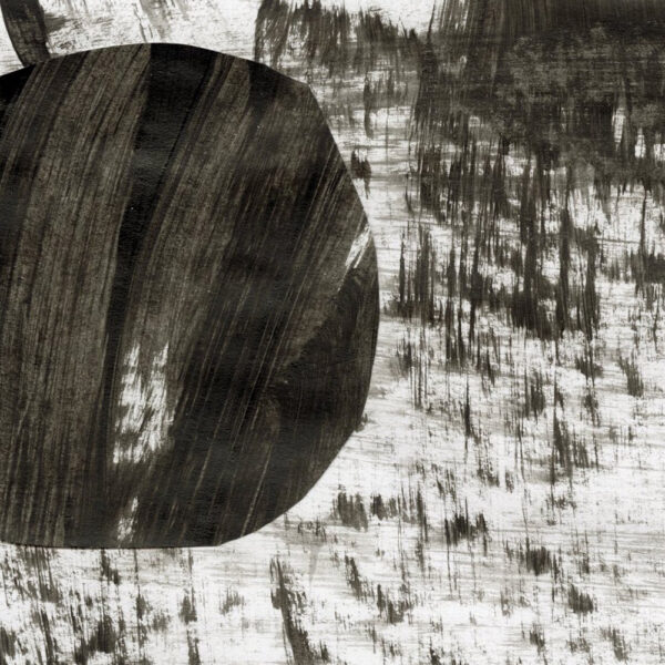 ABSTRACT NATURE IN BLACK AND WHITE I (unframed) - Image 2