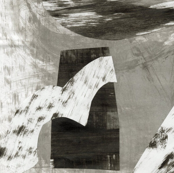 ABSTRACT NATURE IN BLACK AND WHITE I (unframed) - Image 3
