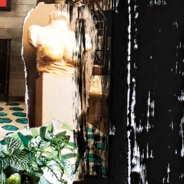 THE PEACOCK'S ROOM (unframed) - Image 3