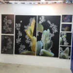 You’re not from here 47 (unframed) - Image 3